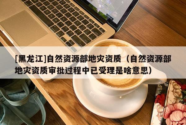 [黑龍江]自然資源部地災(zāi)資質(zhì)（自然資源部地災(zāi)資質(zhì)審批過程中已受理是啥意思）