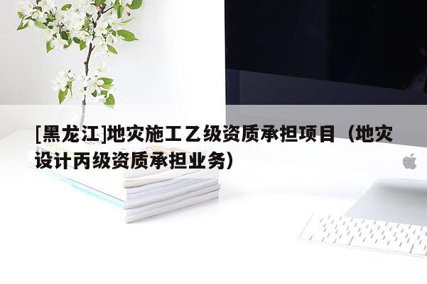 [黑龍江]地災施工乙級資質(zhì)承擔項目（地災設計丙級資質(zhì)承擔業(yè)務）