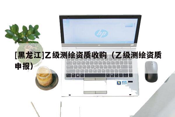 [黑龍江]乙級(jí)測(cè)繪資質(zhì)收購(gòu)（乙級(jí)測(cè)繪資質(zhì)申報(bào)）