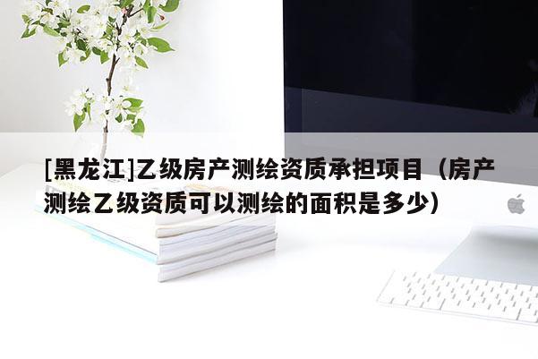 [黑龍江]乙級房產(chǎn)測繪資質(zhì)承擔(dān)項目（房產(chǎn)測繪乙級資質(zhì)可以測繪的面積是多少）