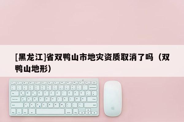 [黑龍江]省雙鴨山市地災資質取消了嗎（雙鴨山地形）