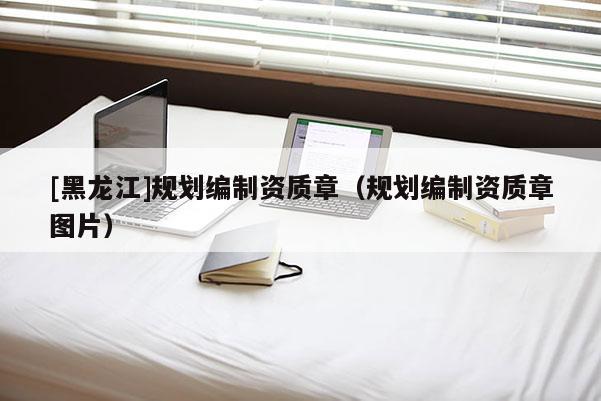 [黑龍江]規(guī)劃編制資質章（規(guī)劃編制資質章圖片）