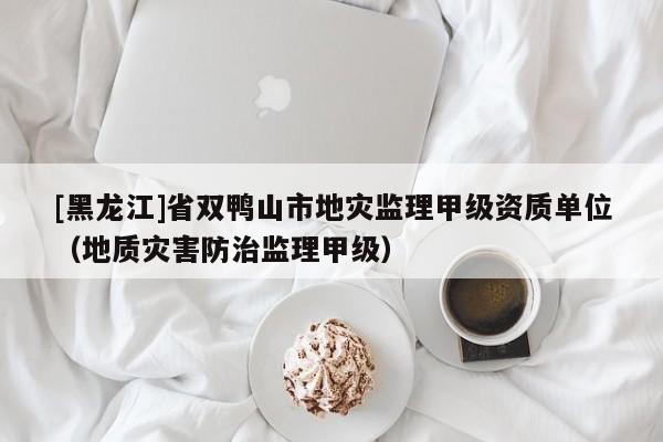 [黑龍江]省雙鴨山市地災監(jiān)理甲級資質單位（地質災害防治監(jiān)理甲級）