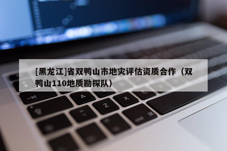 [黑龍江]省雙鴨山市地災(zāi)評估資質(zhì)合作（雙鴨山110地質(zhì)勘探隊(duì)）
